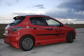 Peugeot 206 by Cosmin