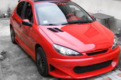 Peugeot 206 by Cosmin