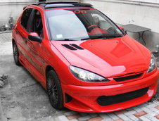 Peugeot 206 by Cosmin