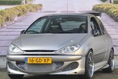 Peugeot 206 cu motor de Type R