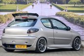 Peugeot 206 cu motor de Type R