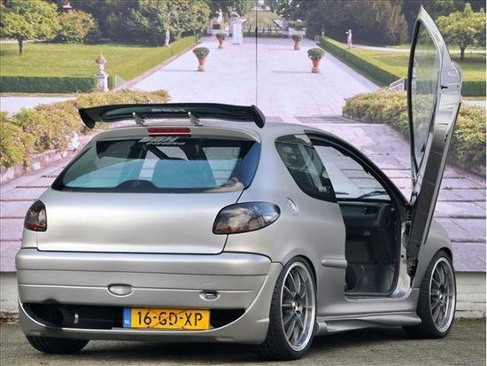 Peugeot 206 cu motor de Type R