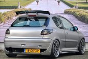 Peugeot 206 cu motor de Type R