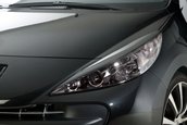Peugeot 207 by RDX Racedesign