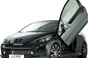 Peugeot 207 by RDX Racedesign