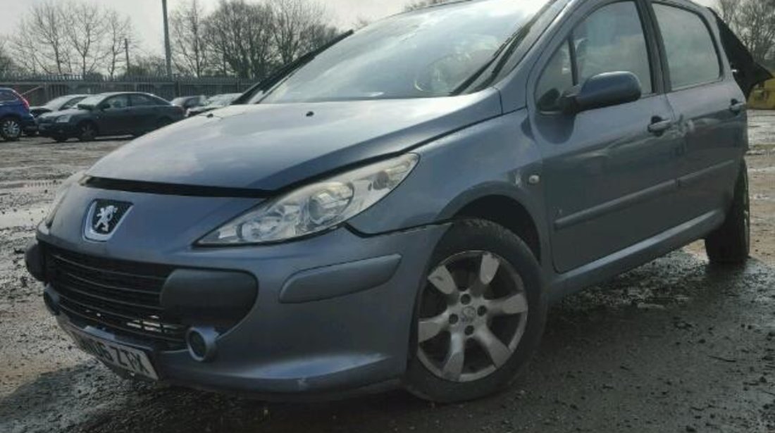 Peugeot 307 1.6 2006