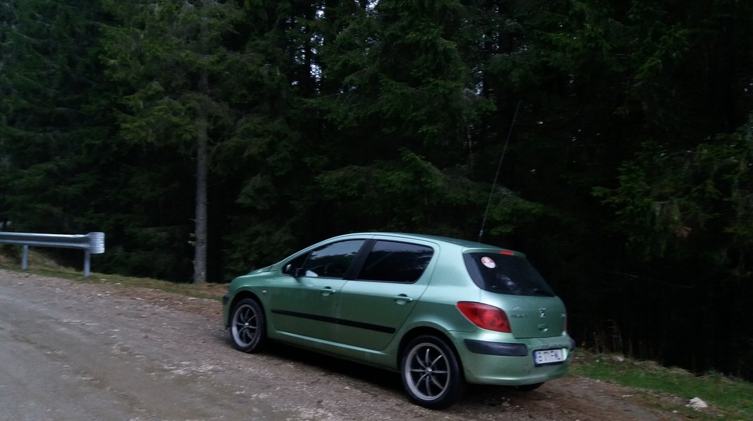 Peugeot 307 1,6 benz 2001