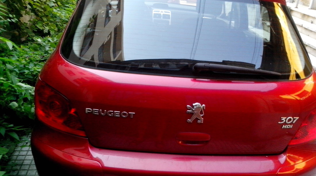 Peugeot 307 1.6 HDi 2007