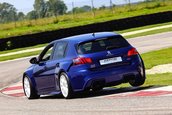 Peugeot 308 GTI de 302 CP