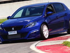 Peugeot 308 GTI de 302 CP