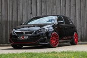 Peugeot 308 GTI de la Clemens Motorsport