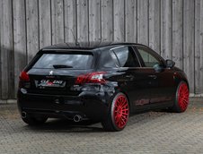 Peugeot 308 GTI de la Clemens Motorsport