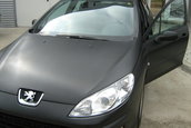 Peugeot 407 by Algernon