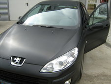 Peugeot 407 by Algernon