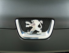 Peugeot 407 by Algernon
