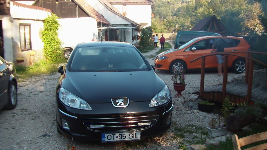 Peugeot 407 Felina