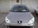 Peugeot 407 Paladin