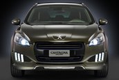Peugeot 508 RXH by Carrozzeria Castagna