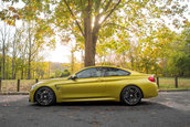 Pictorial de toamna cu patru BMW-uri M