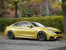 Pictorial de toamna cu patru BMW-uri M