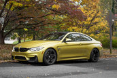 Pictorial de toamna cu patru BMW-uri M
