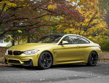 Pictorial de toamna cu patru BMW-uri M
