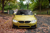 Pictorial de toamna cu patru BMW-uri M