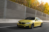 Pictorial de toamna cu patru BMW-uri M
