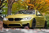 Pictorial de toamna cu patru BMW-uri M