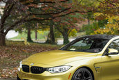 Pictorial de toamna cu patru BMW-uri M