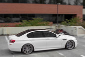 Pictorial de toamna cu patru BMW-uri M
