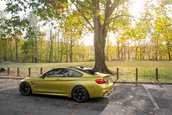 Pictorial de toamna cu patru BMW-uri M