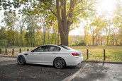 Pictorial de toamna cu patru BMW-uri M