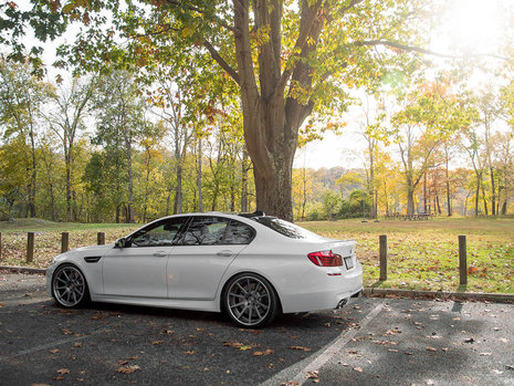 Pictorial de toamna cu patru BMW-uri M