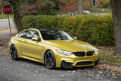 Pictorial de toamna cu patru BMW-uri M