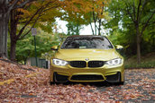 Pictorial de toamna cu patru BMW-uri M