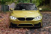 Pictorial de toamna cu patru BMW-uri M