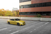 Pictorial de toamna cu patru BMW-uri M