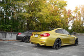 Pictorial de toamna cu patru BMW-uri M