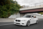 Pictorial de toamna cu patru BMW-uri M