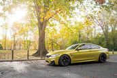 Pictorial de toamna cu patru BMW-uri M