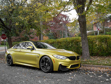 Pictorial de toamna cu patru BMW-uri M