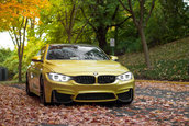 Pictorial de toamna cu patru BMW-uri M