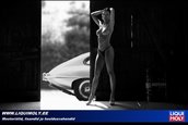 Pictorial nud Liqui Moly