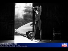 Pictorial nud Liqui Moly