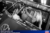 Pictorial nud Liqui Moly