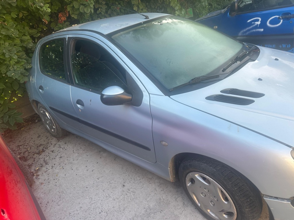 Piese Peugeot 206