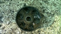 Pinion ax cu came VW Caravelle