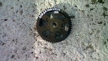 Pinion pompa injectie Honda Concerto