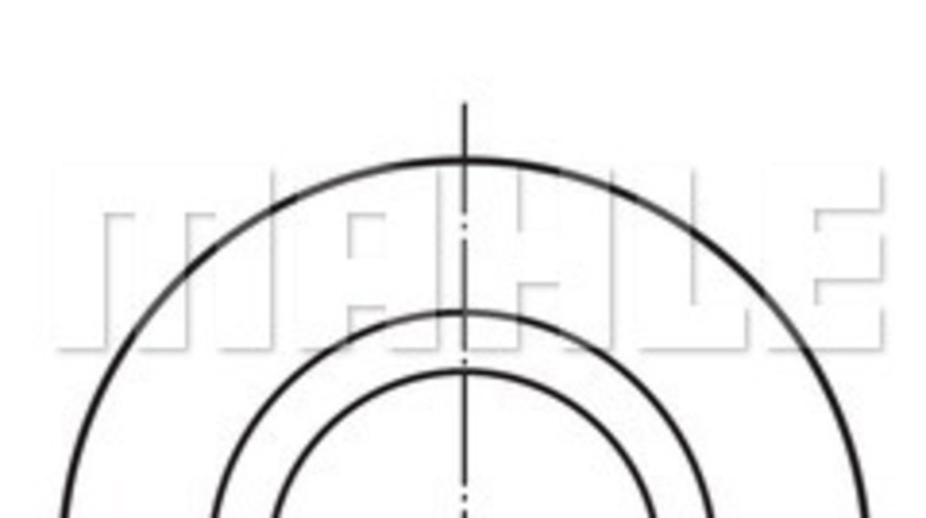 Piston (007PI00102000 MAH) Citroen,FIAT,IVECO